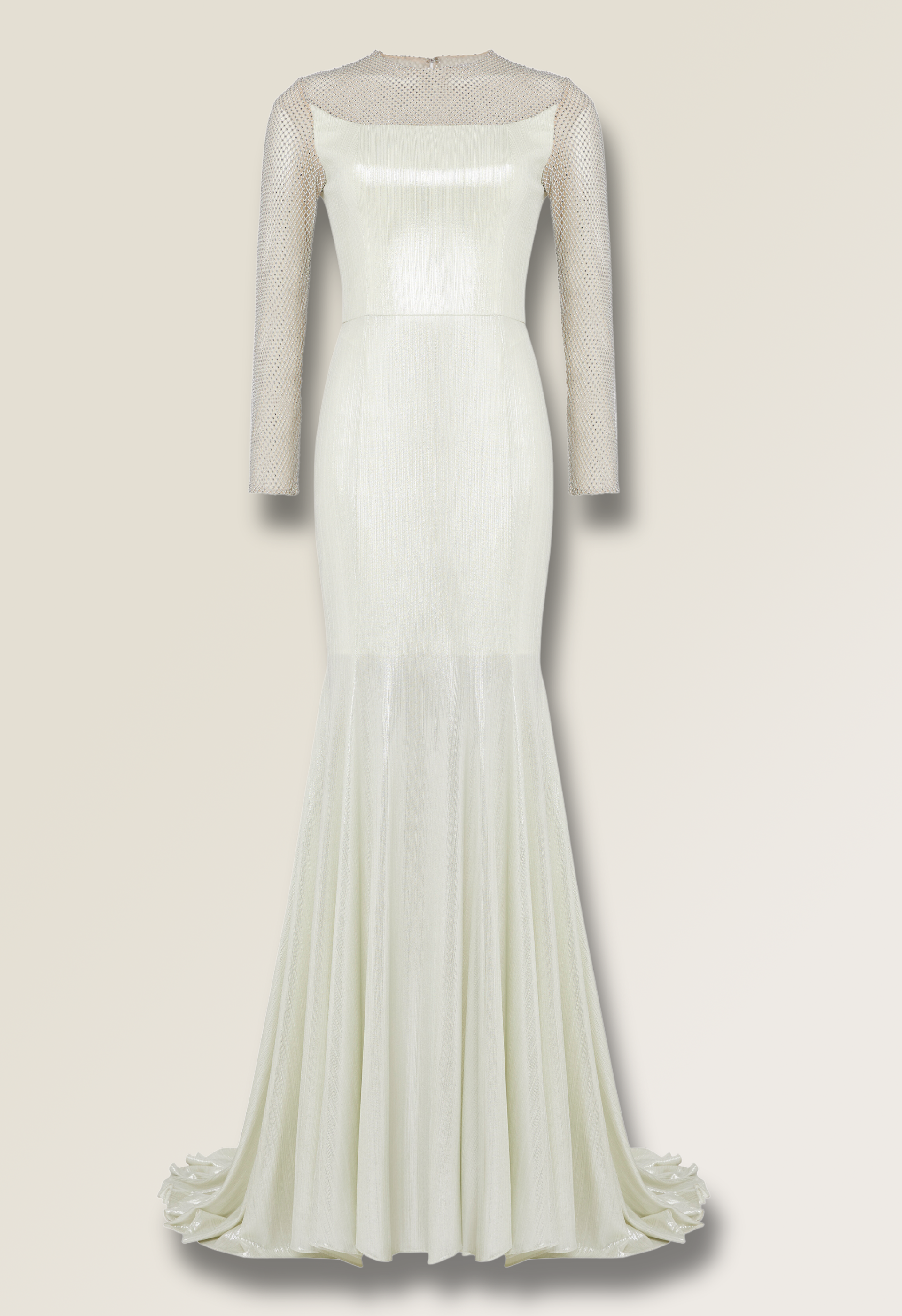 Silver dress with netted sleeves