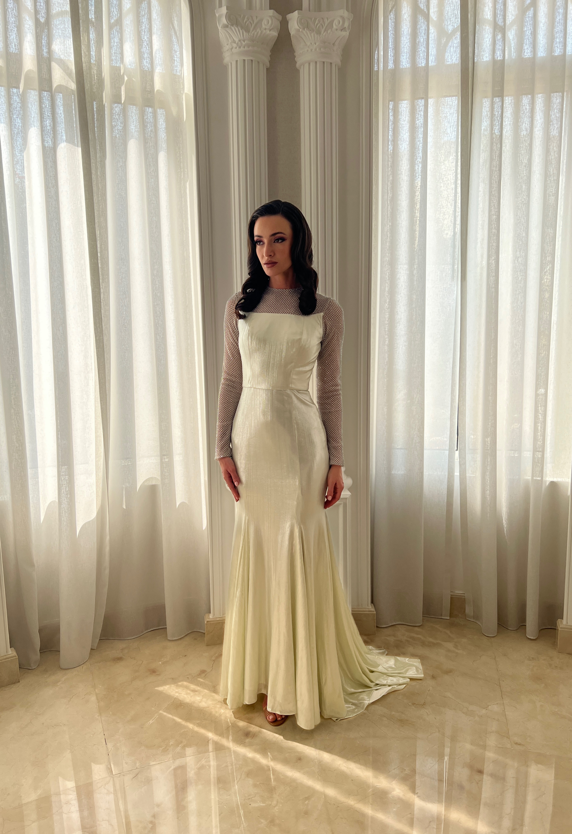 Silver dress with netted sleeves