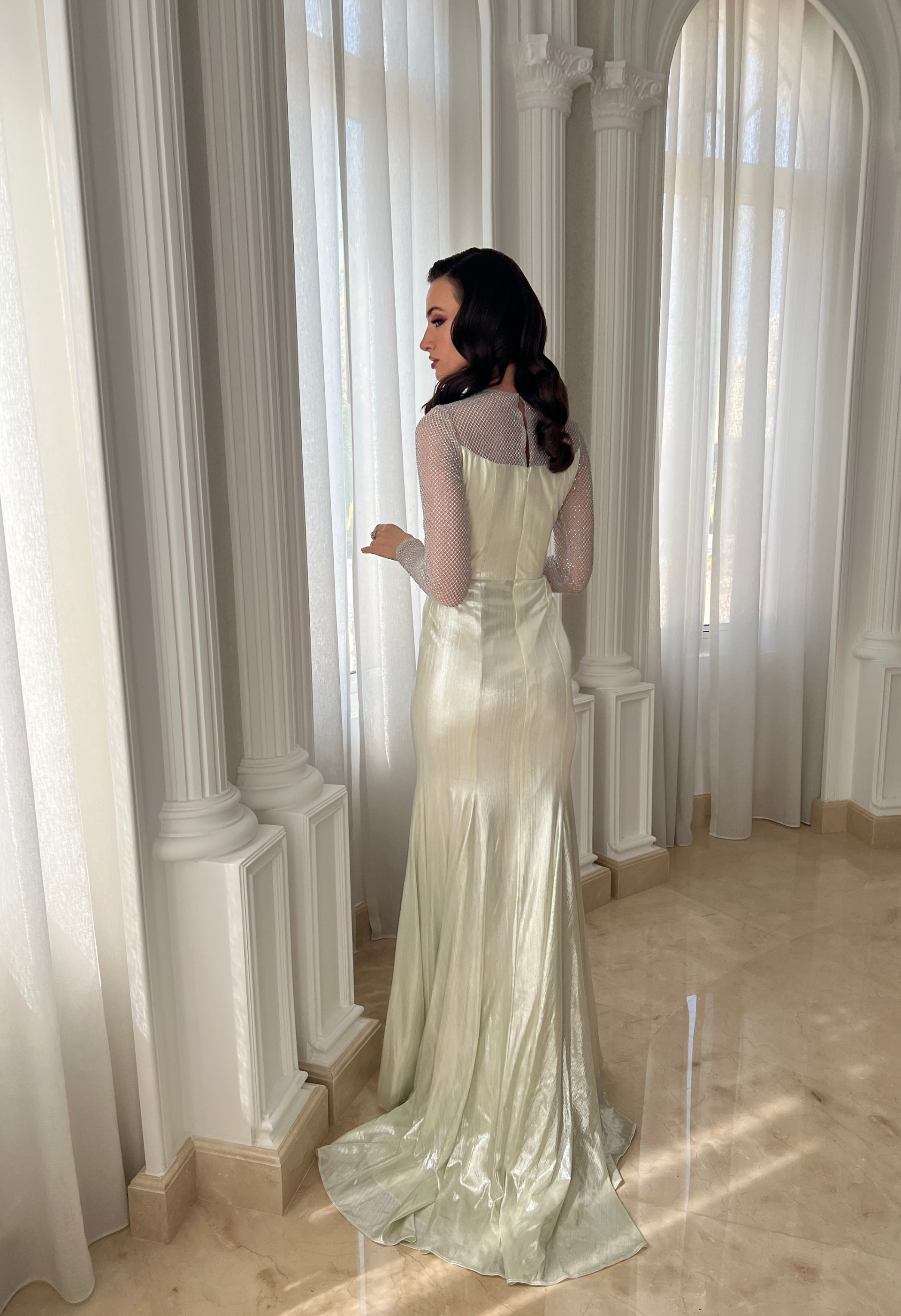 Silver dress with netted sleeves