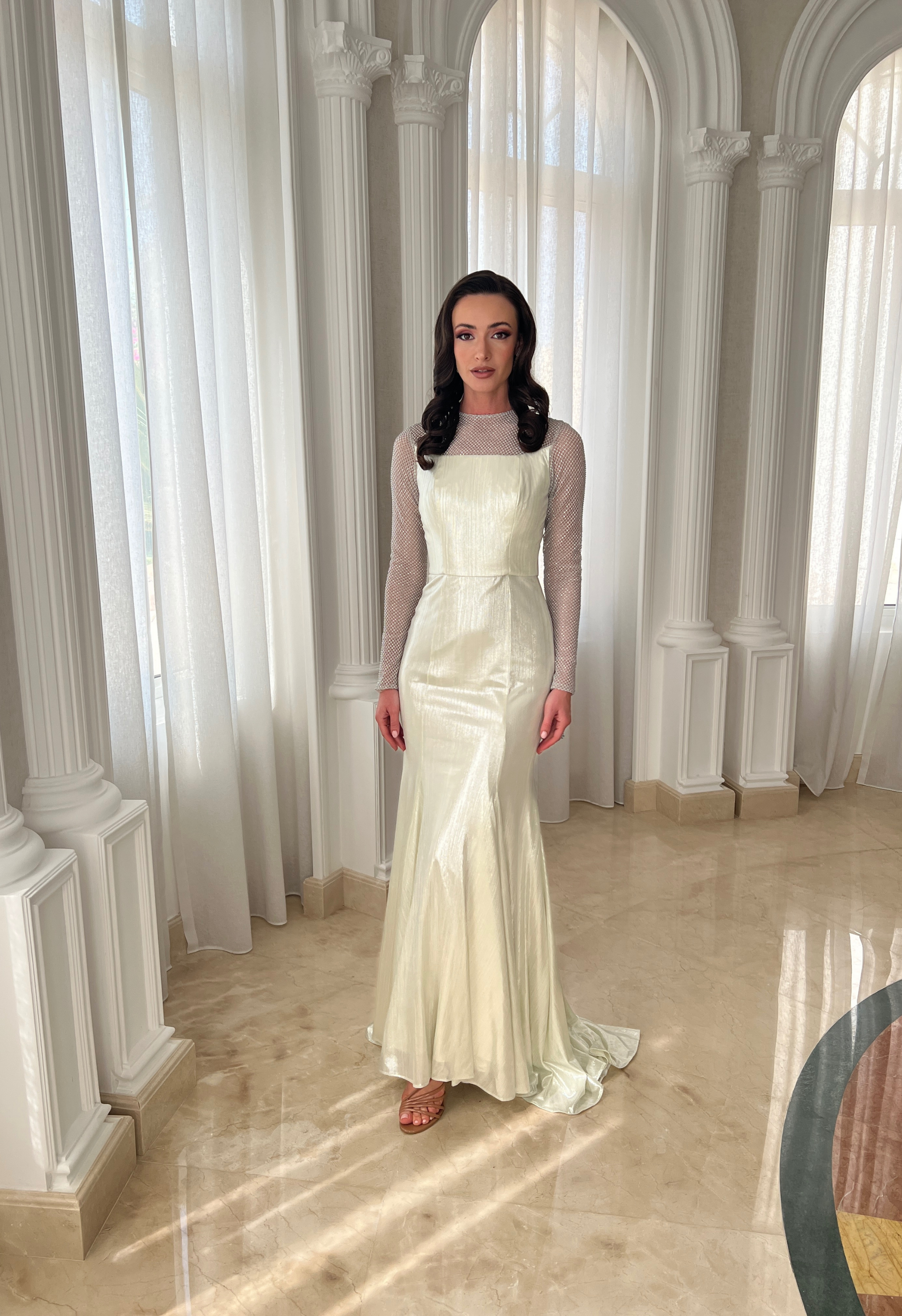 Silver dress with netted sleeves