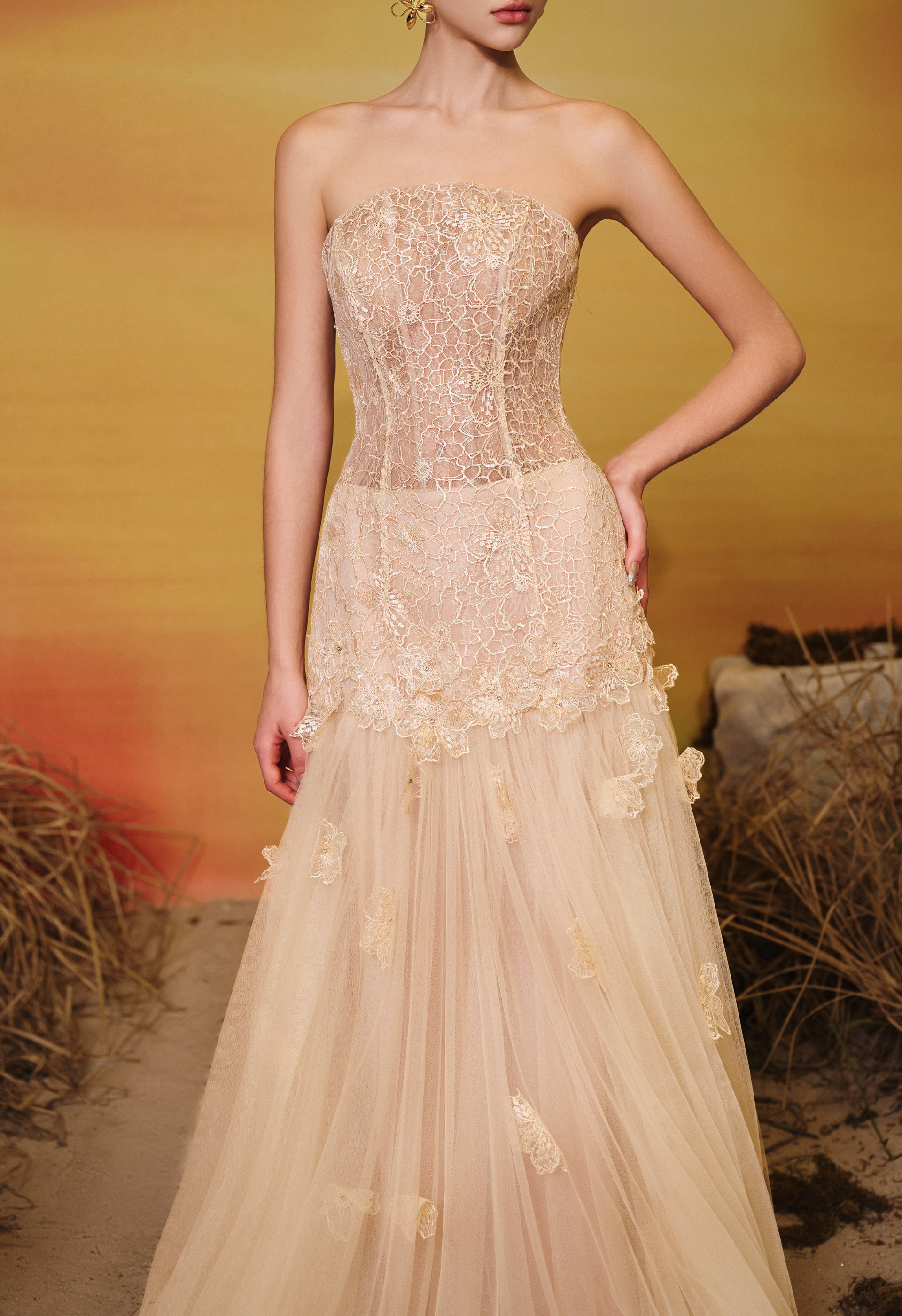 Celestia Lace Tulle Gown