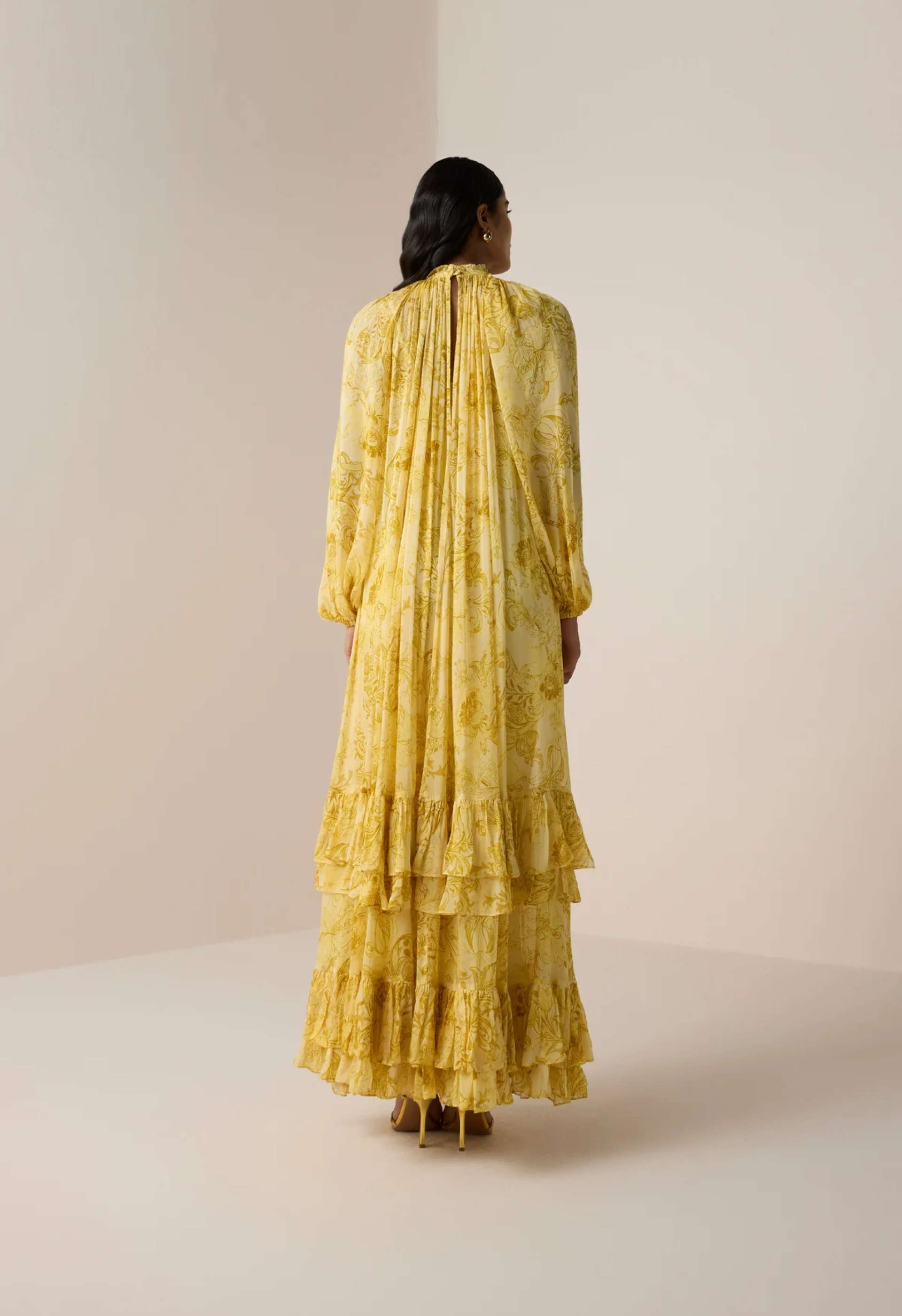 Zar Chiffon maxi Dress