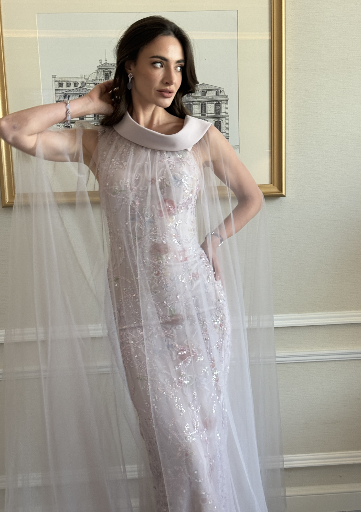 Tulle Overlay Embroidered Dress